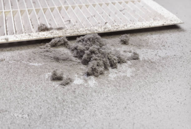 Best Local Air Duct Cleaning Services  in Decatur, IL